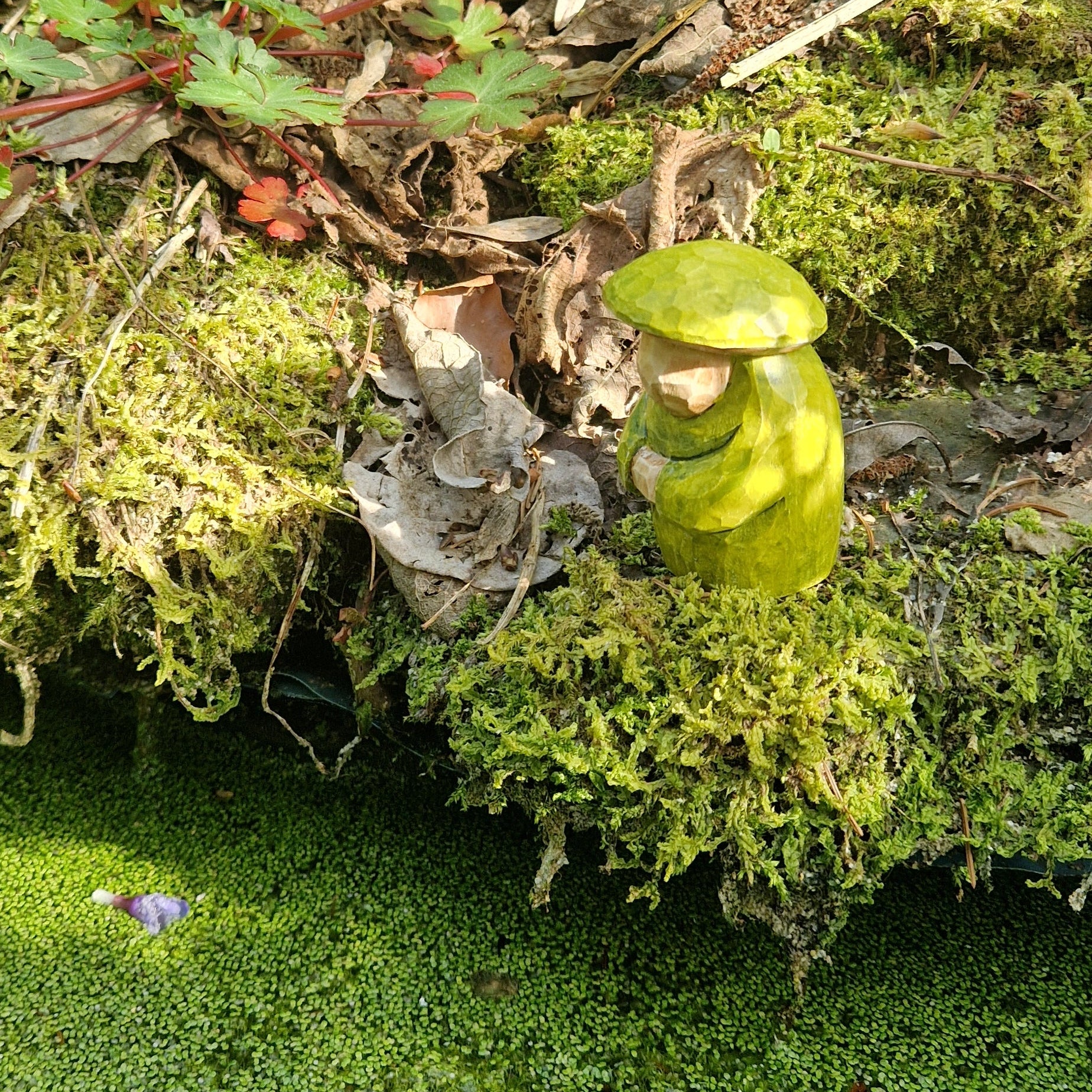 Softfoot Mossmere
