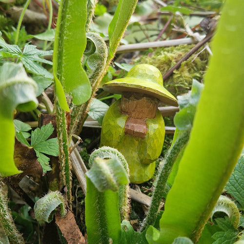 Grandmother Fern Mossmere