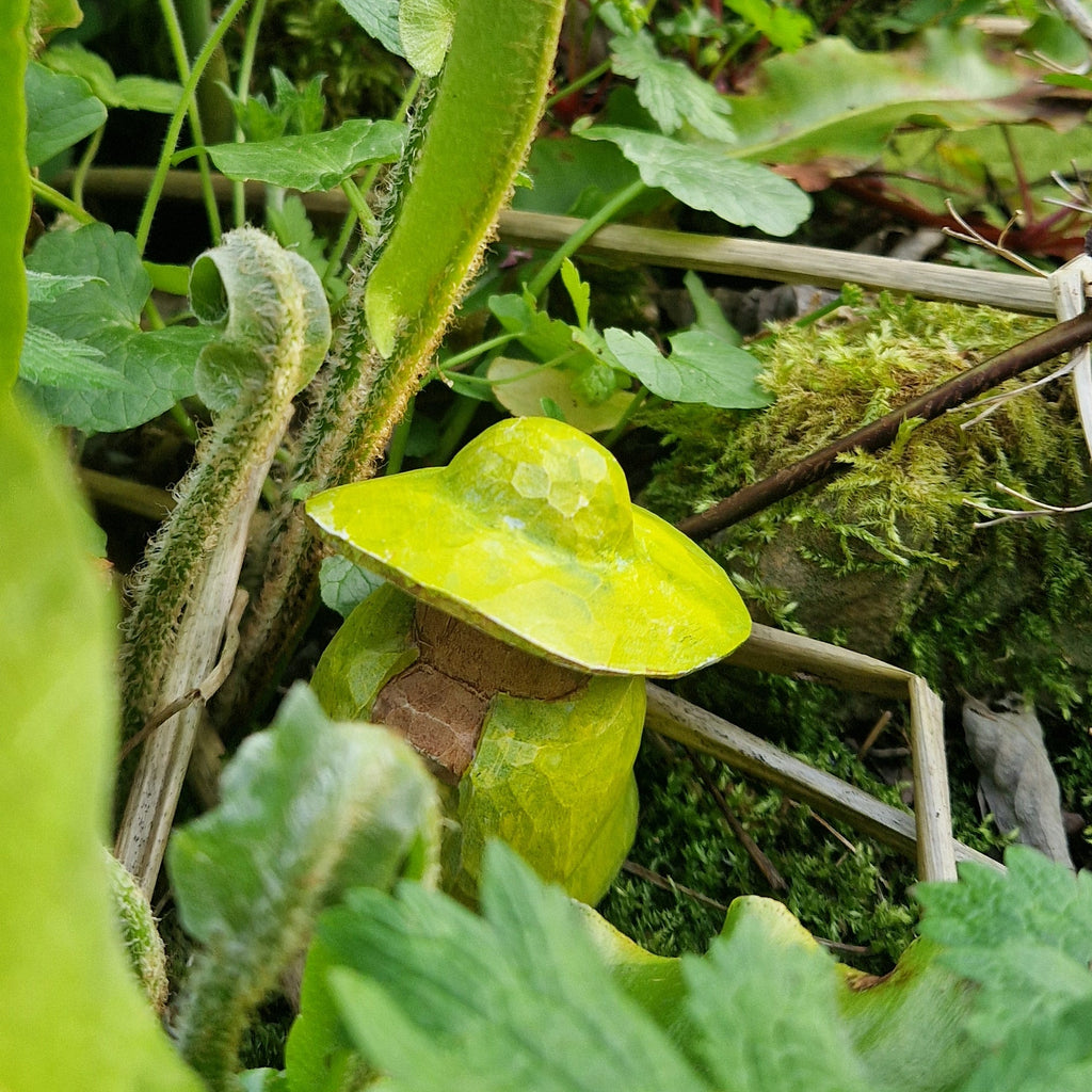 Grandmother Fern Mossmere