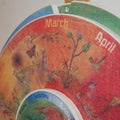 Perpetual Calendar Wheel of the Year - Southern Hemisphere