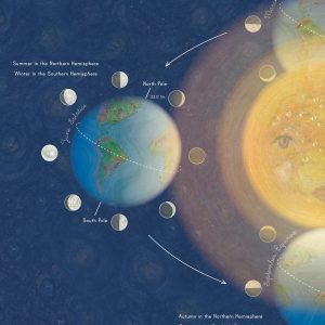 What is an Equinox Workbook