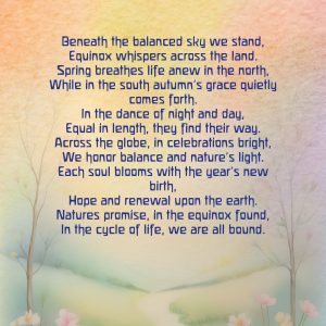 What is an Equinox Workbook