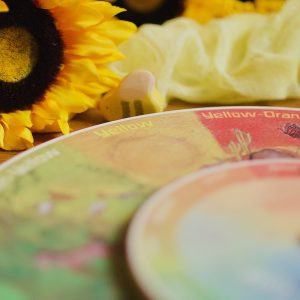 Wild Colour Theory Resource Wheels