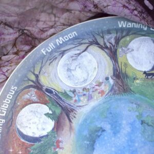 Wild Moon Cycles Wheel