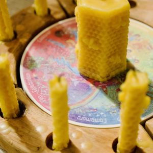 Wilded Family Celebrations Wheel