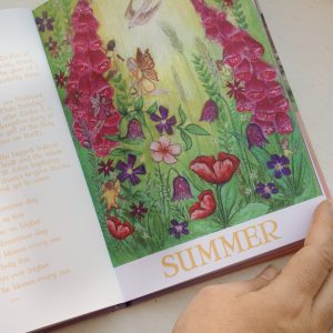 Wilded Journey Through the Year