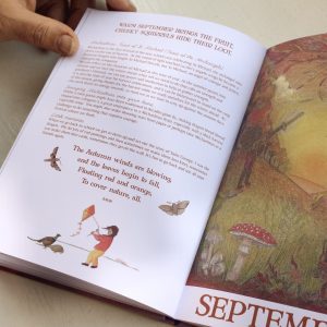 Wilded Journey Through the Year