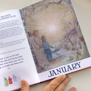 Wilded Journey Through the Year