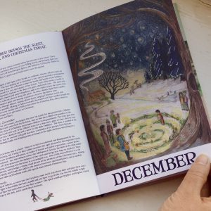 Wilded Journey Through the Year