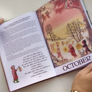 Wilded Journey Through the Year