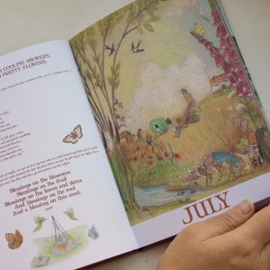 Wilded Journey Through the Year