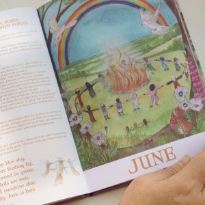 Wilded Journey Through the Year