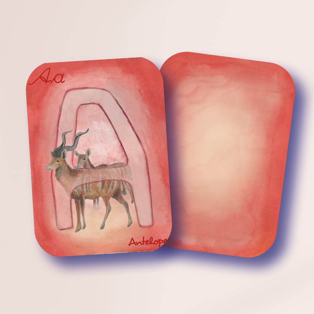 International ABC Cards - in English, German or French