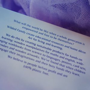 A Wilded Year - Affirmations CD