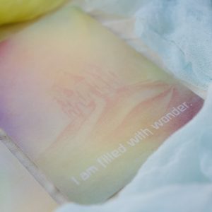 Wild Encouragement Cards