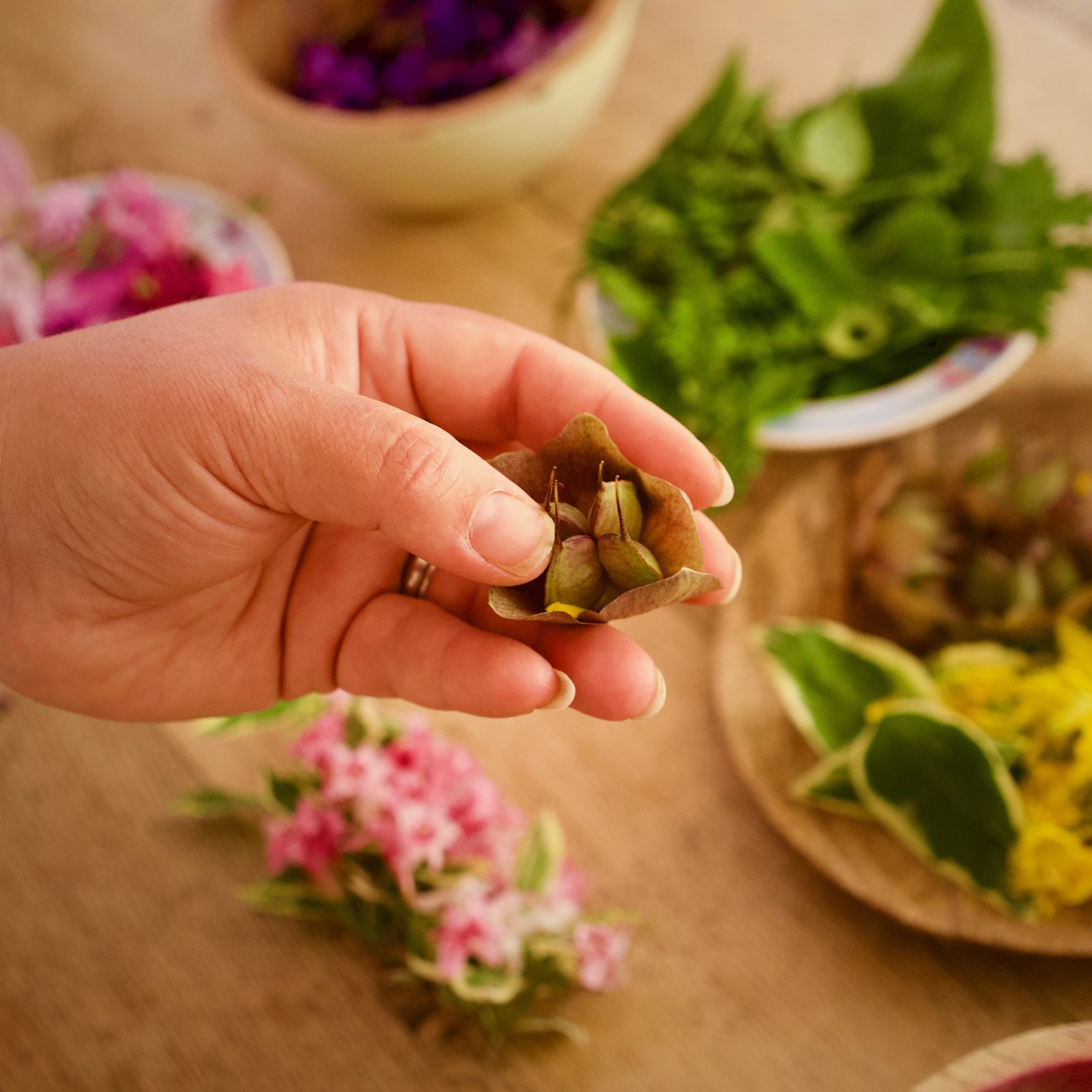 Biodynamic gardening: planting by the moon